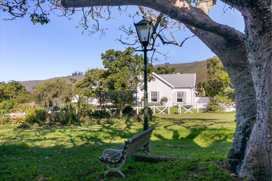 4 Bedroom Property for Sale in Belvidere Estate Western Cape
